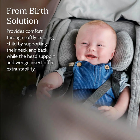 Infant Snug Seat / Compatible with Vista and Cruz Strollers / 2 in 1 Newborn to Toddler Comfort Insert