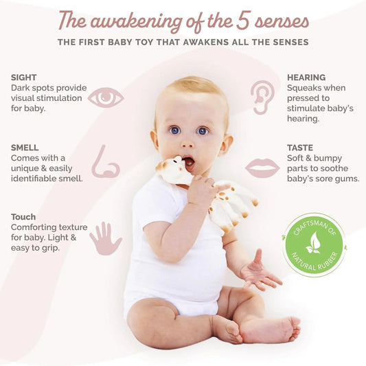 | Handcrafted for 60 Years in France | Natural Rubber | Designed for Teething Babies | Awaken All 5 Senses | Easy to Clean